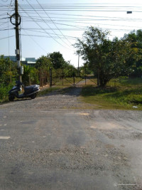 Đất thích hợp làm trang trại ở đức huệ Long An
