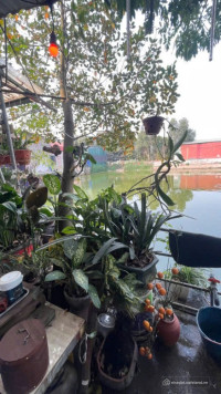 CƠ HỘI VÀNG GIỮA LÒNG HÀ NỘI – LÔ ĐẤT PHÚ ĐÔ ĐẸP KHÔNG TÌ VẾT – VIEW HỒ THOÁNG M