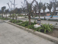 Em bán mảnh đất cách sóng biển 100 mét, cách đường ven biển 30 mét quy hoạch