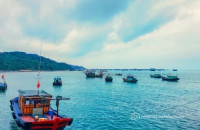 BÁN ĐẤT THỔ CƯ TRUNG TÂM CÔ TÔ – VỊ TRÍ ĐẸP, GIÁ TỐT, SỔ SẴN SANG TÊN