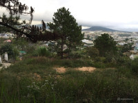 Đất 19,3m MT Trịnh Hoài Đức, tp Đà Lạt view cực đẹp, DT: 1.488 m2, gía 78 tỉ