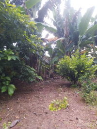 Bán chịu lổ lô đất gần 400m² gần biển và các resort và gần kcn đất đỏ giá rẻ