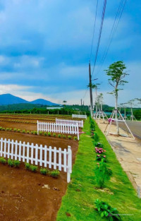 Bán đất nền Di Linh – Chỉ Từ 4,5 Triệu/m², Sổ Riêng, View Đẹp, Chiết Khấu Khủng!