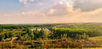 Anh Chị thích về vườn nghỉ dưỡng, sở hữu ngay mảnh vườn view hồ Trị An