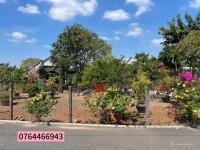 Cần tiền bán lỗ vườn chôm chôm, Bình Phước, 3500m2, 400m2 thổ cư