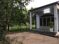 Bán đất P. Hưng Định, TP. Thuận An, 2009 m2, pháp lý đầy đủ, uy tín, chỉ 32 tỷ
