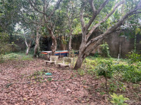 Bán nhà Phường Thanh Đức, Long Hồ, Vĩnh Long