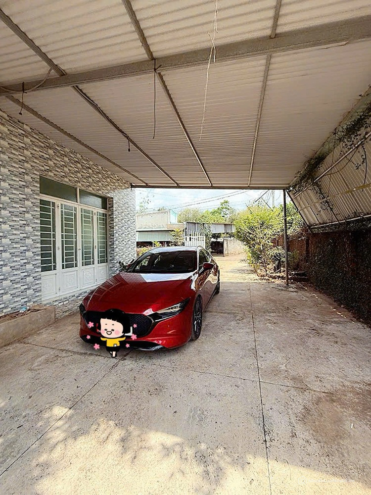 Vườn cây ăn trái gần Long Khánh, giá tốt, được phủ full hồng diện tích rộng