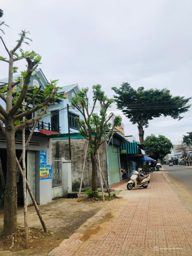 SỞ HỮU NGAY MẶT TIỀN VÀNG – NGAY TRUNG TÂM TP. BẢO LỘC
