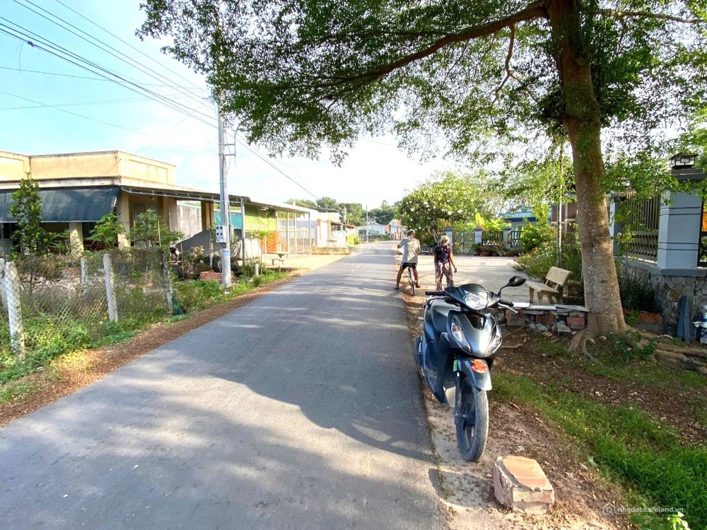 BÁN 2 SÀO (2.250M2) 50M MẶT TIỀN NHỰA CHƠN THÀNH CHỈ 890 TRIỆU