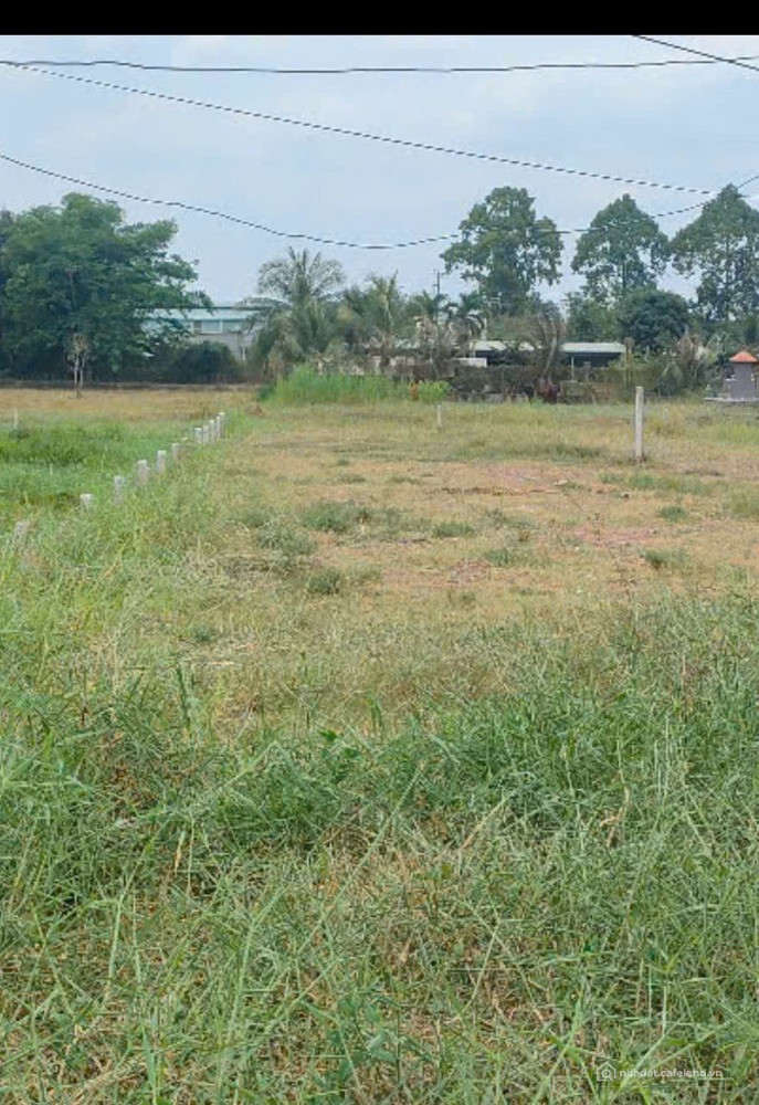 Bán đất vườn Bình Chánh 381m2 mặt tiền nhựa 8m sổ hồng riêng