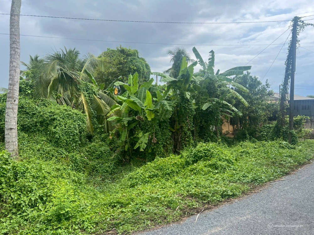 Bán đất mặt tiền đường nhựa Trường An, Vĩnh Long