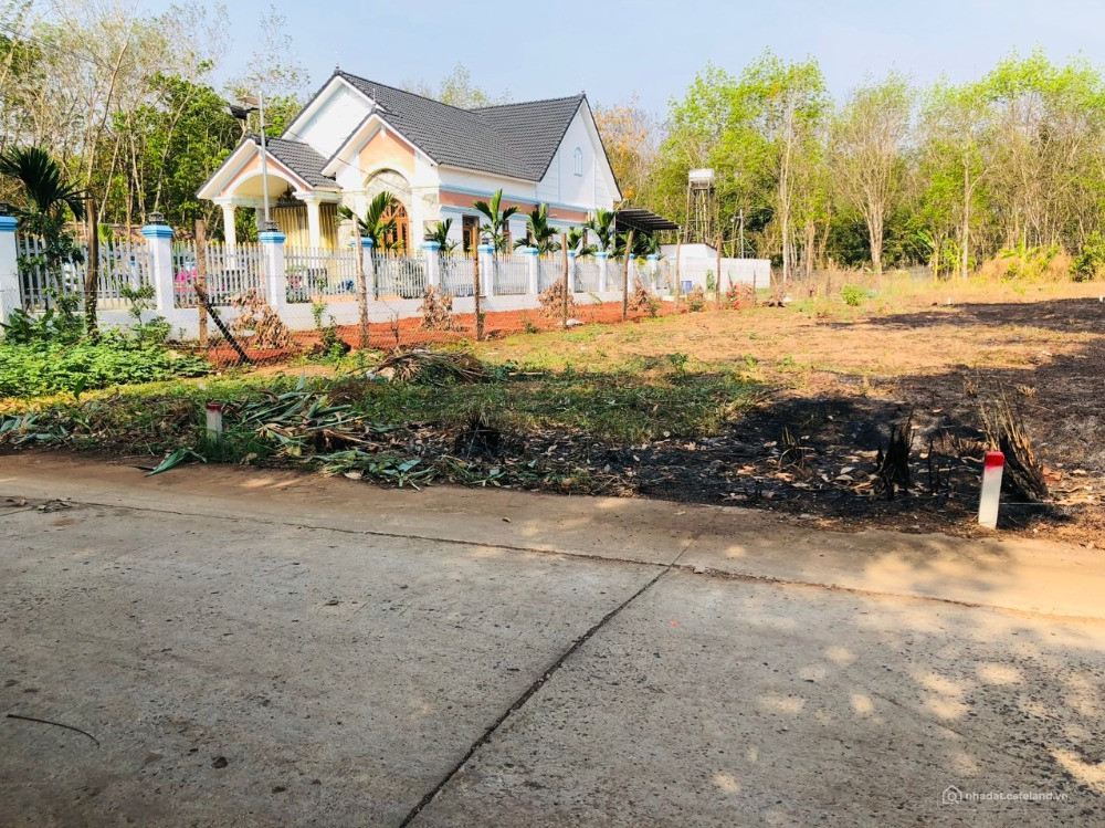BÁN NHANH 2020M2 ĐẤT Ở THỊ XÃ BÌNH LONG TỪ CHỢ ĐI VÀO 500M LÀ TỚI. GIÁ 150 TR