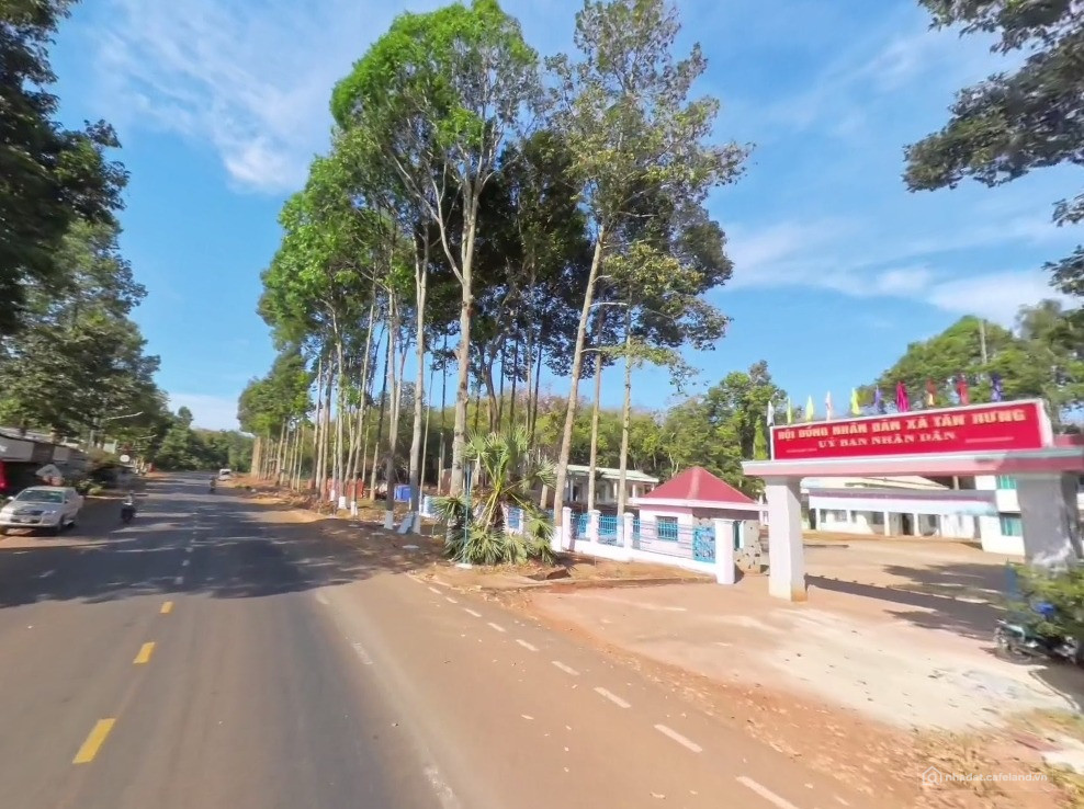 BÁN 1.250m² ĐẤT TC NGAY CHỢ TÂN HƯNG DÂN ĐÔNG ĐƯỜNG NHỰA DT756 VÀO ĐÚNG 225TR