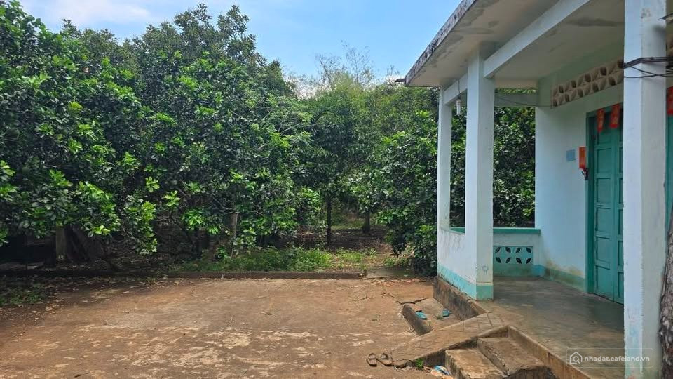 Nhà vườn gần sân bay Long Thành - Chủ bán gấp có 300m2 thổ cư, giá chỉ 1tr9/m2