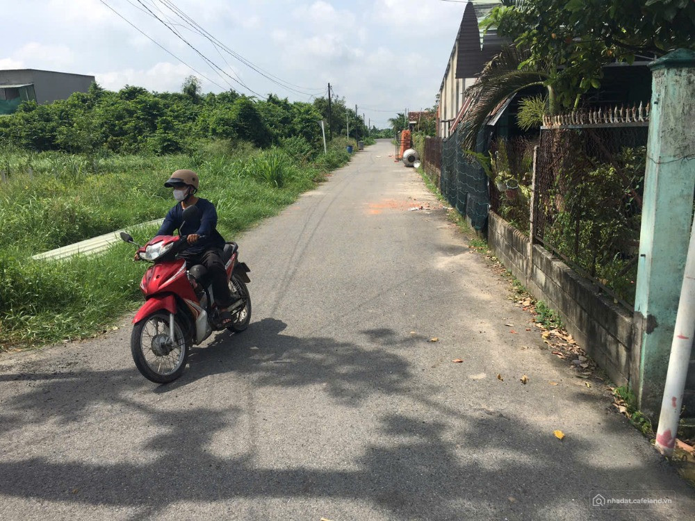 Chủ gửi lô đất 2 mặt tiền đường Bụi Thị Điệt. Đất vuông vức như cái thước kẻ.