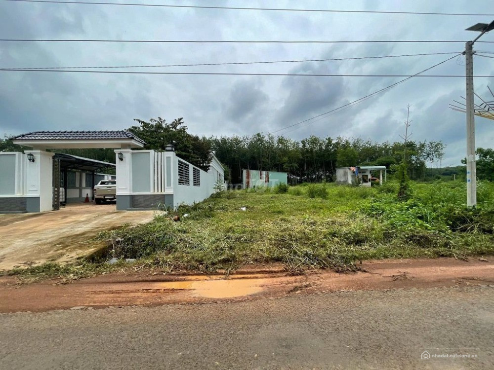 CẦN BÁN 1.000M2 MẶT TIỀN LỚN, ĐỐI DIỆN CHỢ SHR, THỔ CƯ