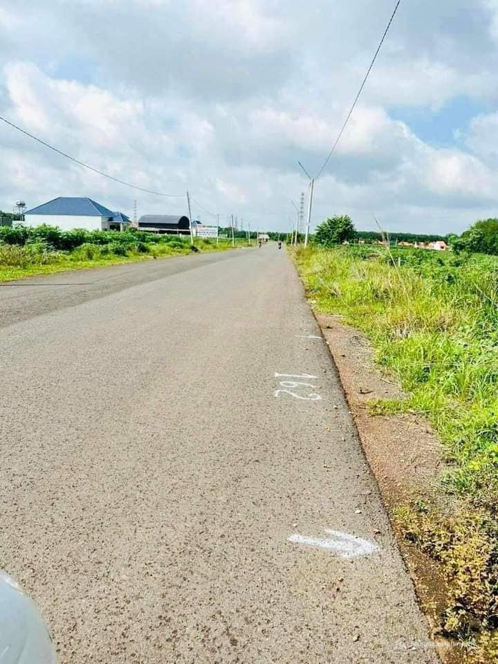 CẦN BÁN NHANH 2800M2 ĐẤT Ở THỊ XÃ NGAY CHỢ, TR.HỌC DÂN ĐÔNG. GIÁ 180 TR