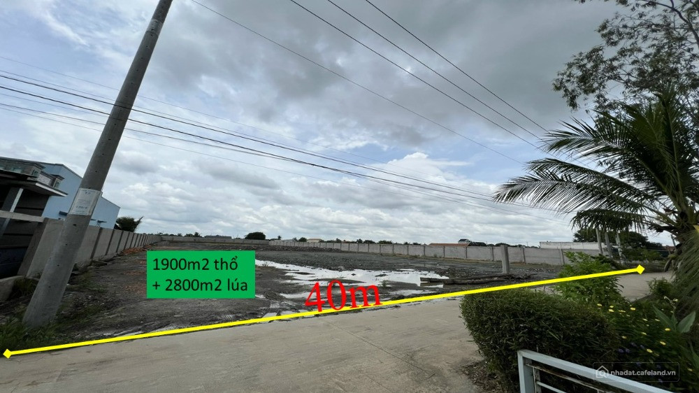 Cần bán 4700m2 đất có 1900m2 thổ tại Cần Giuộc, Long An