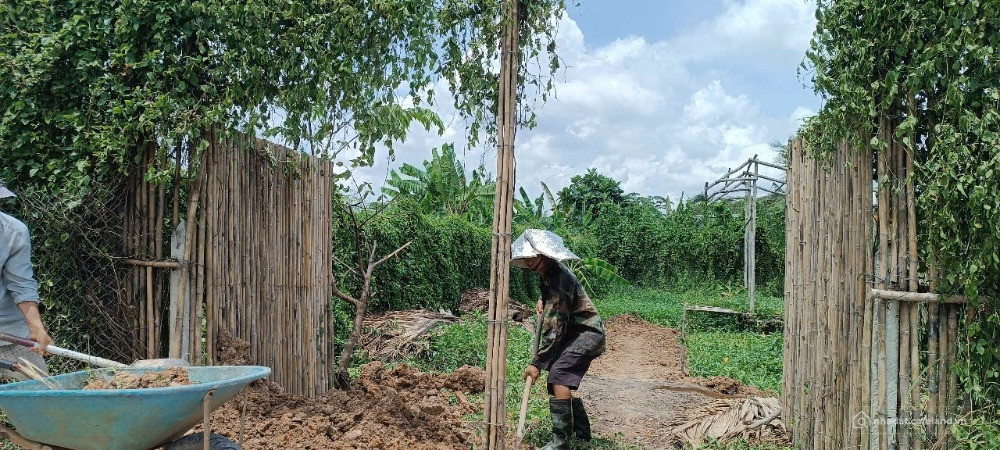 Đất đường Bình Mỹ ô tô thông. Đang thi công nhà vườn. 10x25m, 1tỷ25