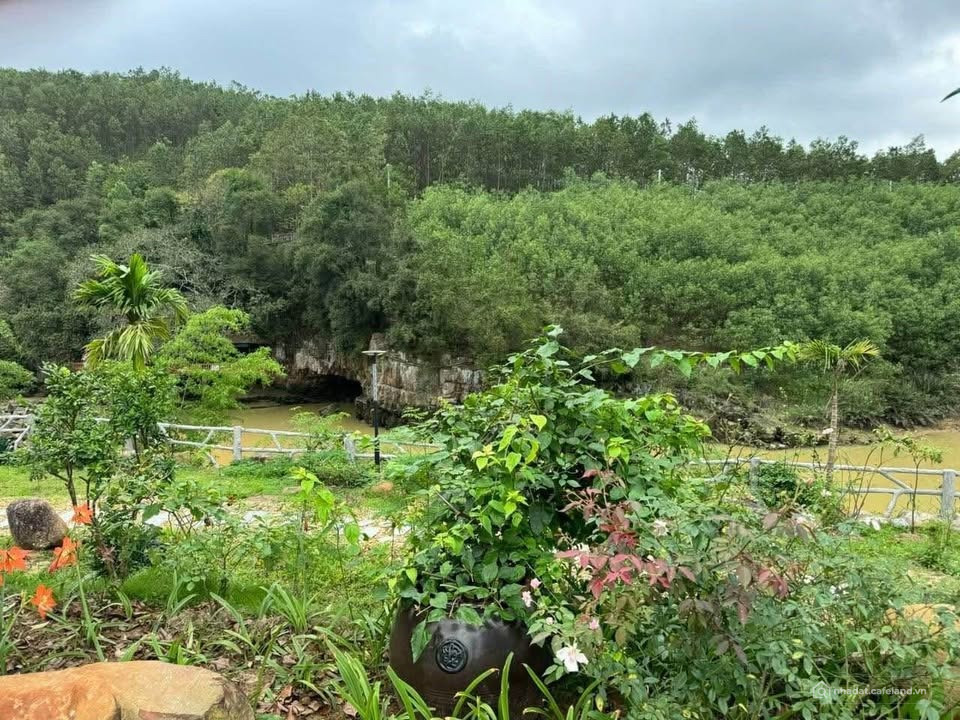 Chính chủ cần bán mảnh đất hơn 5000m2 view sông cho các bác muốn gần thiên nhiên