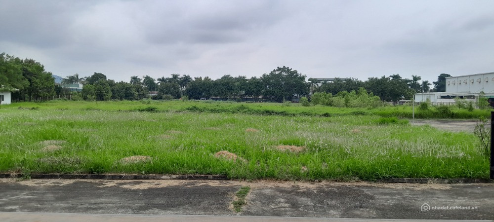 BÁN "ĐIỂM VÀNG:27.000M² NHÀ XƯỞNG, ĐẤT KCN LƯƠNG SƠN-NƠI KHỞI ĐẦU THỊNH VƯỢNG