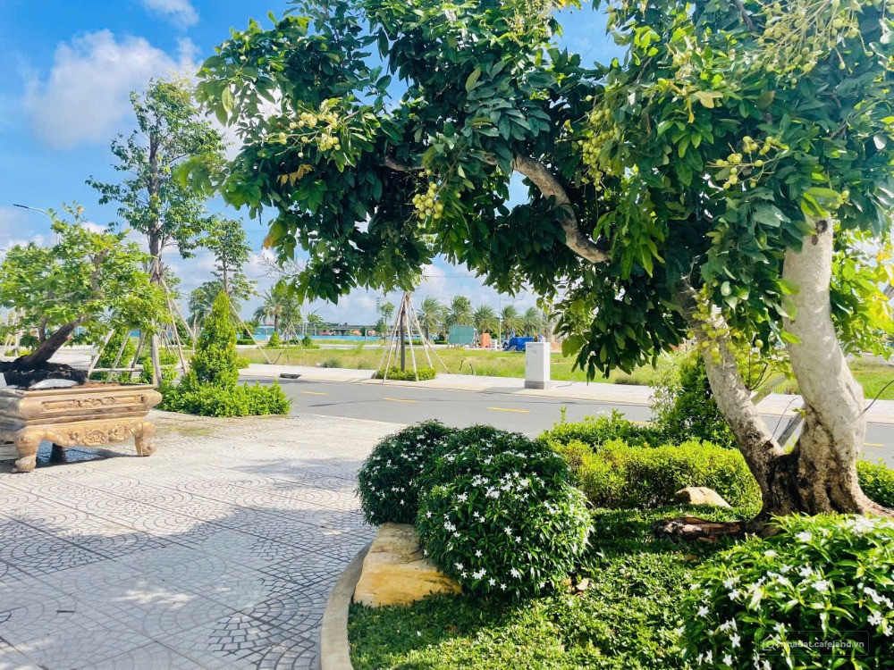 Đất sổ sẵn đối diện Ecopark Bến Lức, chỉ 1,9 tỷ xây nhà ở ngay