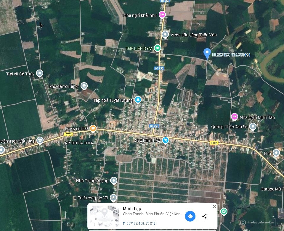 BÁN THÁO 4 SỔ ĐẤT SHR GẦN CHỢ MINH LẬP – CHỈ 360 TRIỆU 1 SỔ, BAO PHÍ!