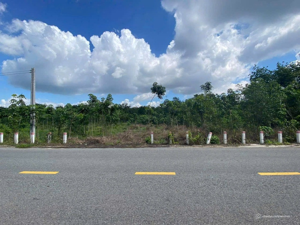BÁN GẤP 1.250M2 SÁT BÊN CHỢ, TRƯỜNG HỌC ĐƯỜNG THÔNG VÀO KCN ĐÔNG DÂN. GIÁ 190TR