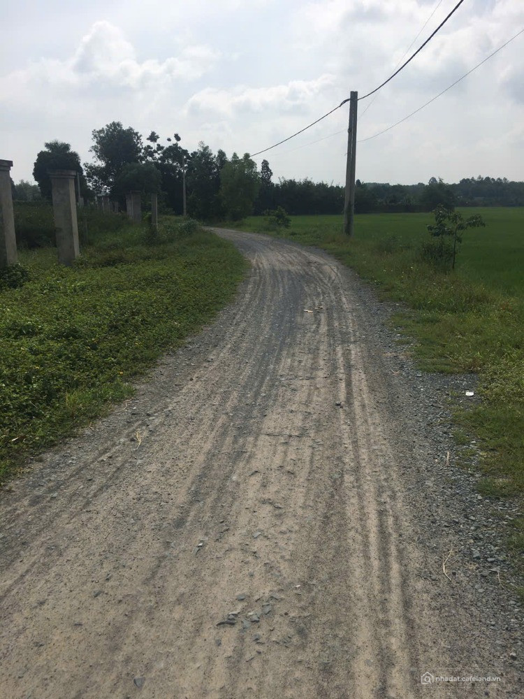 Cho thuê 1000m2 đất 1/ Tỉnh Lộ 7. Đường hiện hữu nhà nước, điện 3 pha có sẵn.