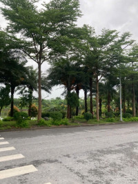 SIÊU PHẨM ĐẤT ĐẸP TRUNG TÂM TỪ SƠN – VIEW HỒ – SỔ ĐỎ TỪNG LÔ