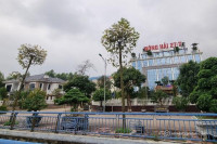  MỞ BÁN DỰ ÁN KHU DÂN CƯ ĐÔNG HẢI - QUANG THÀNH - KINH MÔN - HẢI PHÒNG 