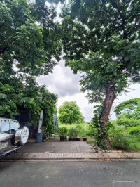 Bán Khuôn đất Khu dân cư số 1, Thạnh Mỹ Lợi, Quận 2, 8x17.5m, giá 96tr/m2
