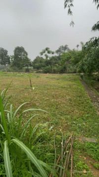 HOT. Bán mảnh đất 100m tại Phúc Trìu - Thái Nguyên cách SVD mới chỉ 1km