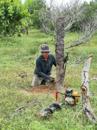 Bán đất vườn ven biển bình thuận sổ sẵn giá rẻ từ 185tr/ sổ, công chứng ngay