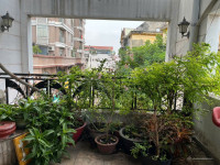 Bán nhà mặt phố Thiên Phước, 17 tỷ, 199m2, view đẹp, Tân Bình, HCM