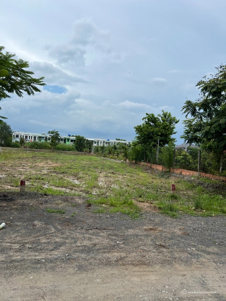 Thanh lý 3 nền view kênh đối diện An Nông 7 Đức Hòa - Bao giá mềm
