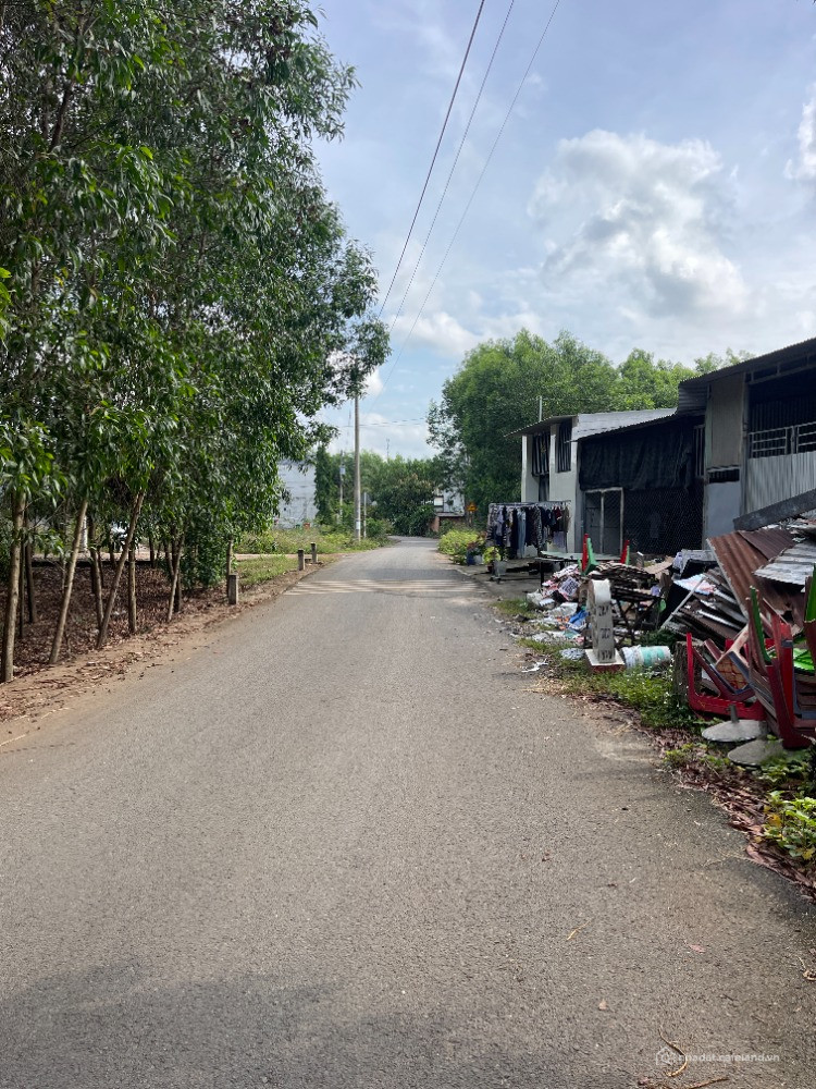 Bán 200m2,Thổ Cư 100% Tại Xã Đồi 61,Huyện Trảng Bom Chỉ 9xx