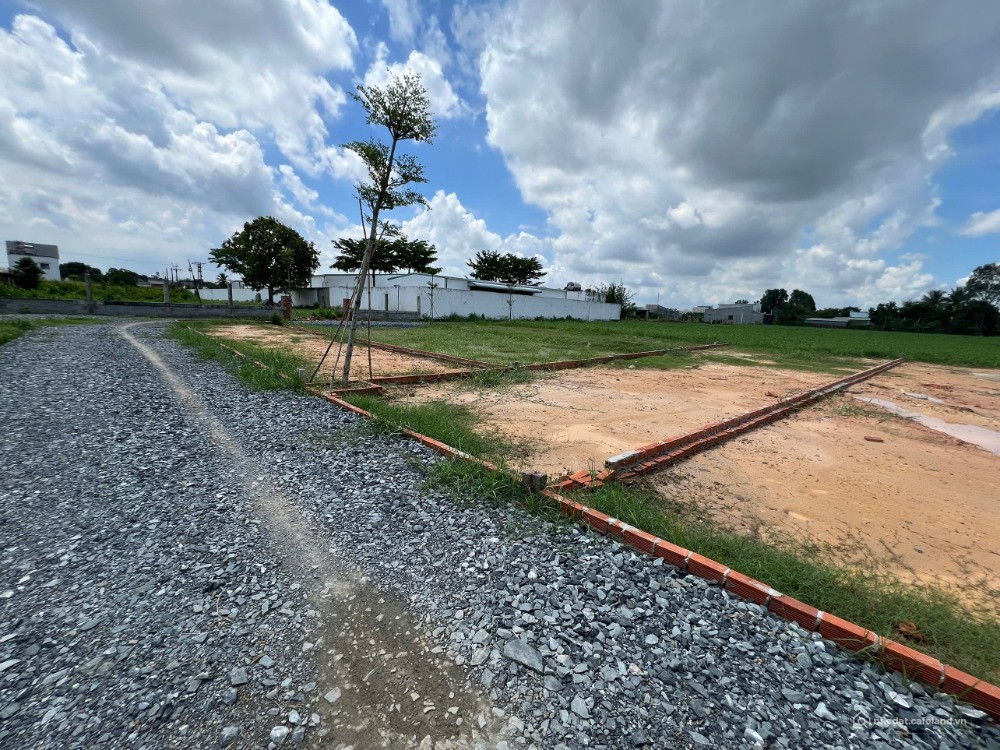 𝐍ề𝐧 đầ𝐮 𝐭ư 𝐠𝐢á 𝐦ề𝐦 𝐩𝐡í𝐚 đố𝐢 𝐝𝐢ệ𝐧 𝐕𝐢𝐧𝐡𝐨𝐦𝐞𝐬 𝐇ậ𝐮 𝐍𝐠𝐡ĩ𝐚