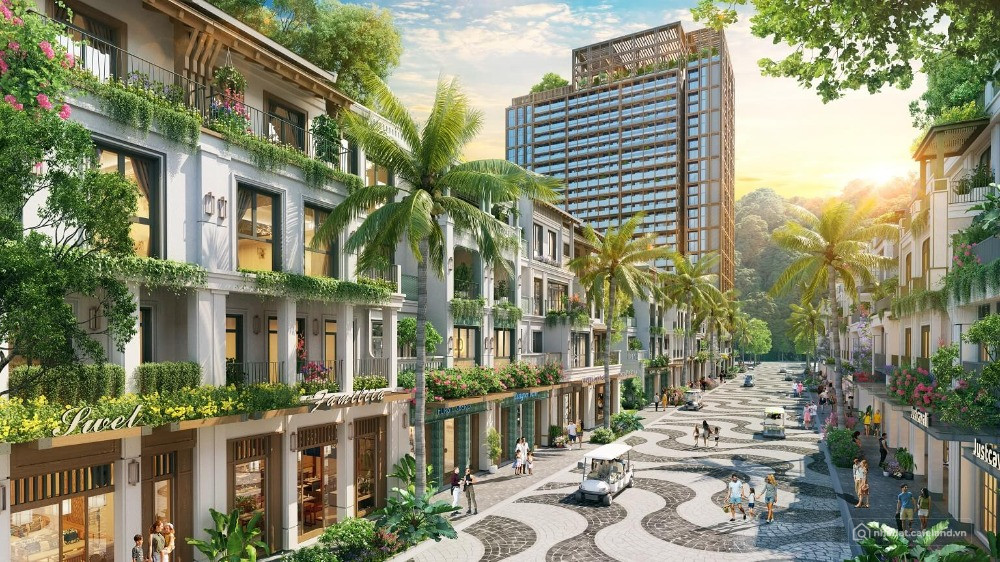 Shophouse, biệt thự liền kề ngay trong trung tâm đảo Cát Bà