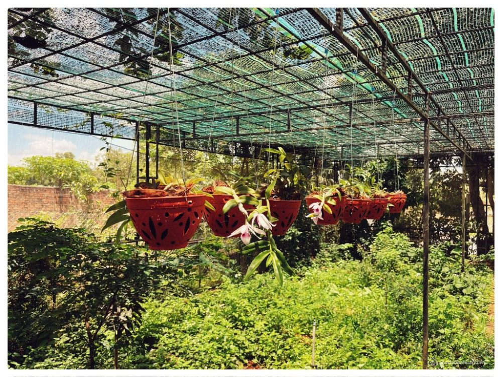Cần chuyển nhượng lại HomeStay cực đẹp đang kinh doanh tại Pleiku - Gia Lai