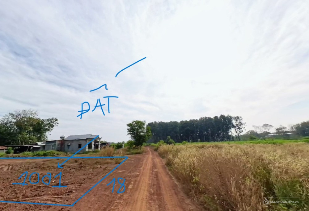 1001m² Gần Chợ Minh Lập – Đất Vuông Đẹp – Giá Chỉ 235 Triệu