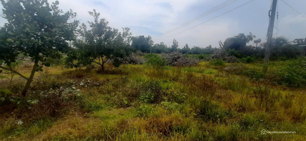 CẦN BÁN LÔ ĐẤT LỚN TẠI LÁNG DÀI – ĐẤT ĐỎ – BRVT – GIÁ RẺ