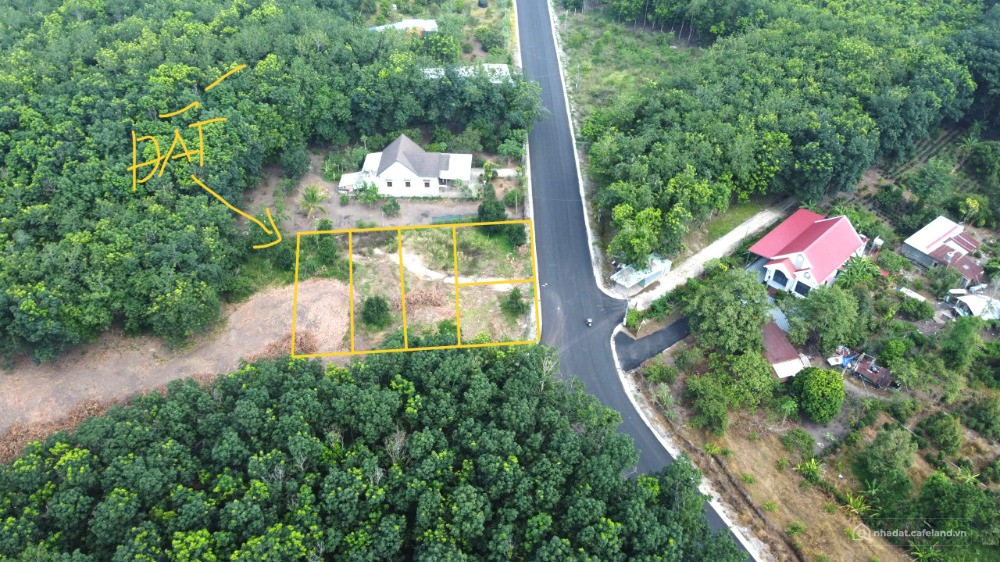 365 Triệu/Sổ Bán 3 Sổ 750m² Mặt Tiền Ngay Chợ Minh Lập, QL13 – Có 300m² TC, Shr