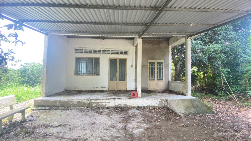 Bán Vườn 2469m2 TẶNG Căn Nhà 120m2, Cách QL61C Chỉ 300m, Nhơn Nghĩa, Phong Điền,