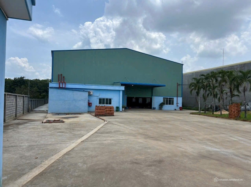BDS HVL Cho Thuê Nhà Xưởng Trong khu công nghiệp Cát Lái TPHCM