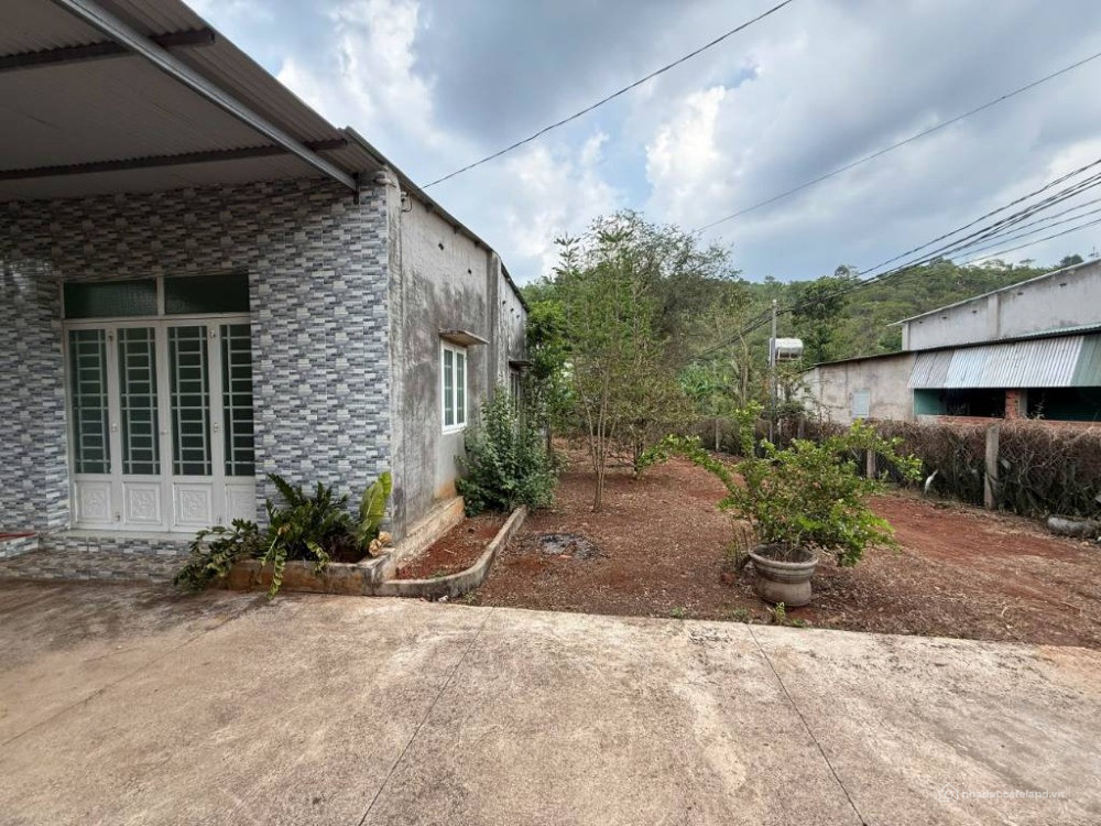 CHỦ ĐỊNH CƯ NƯỚC NGOÀI BÁN GẤP VƯỜN 3.500m² GẦN LONG KHÁNH ĐÃ ĐƯỢC PHỦ HỒNG