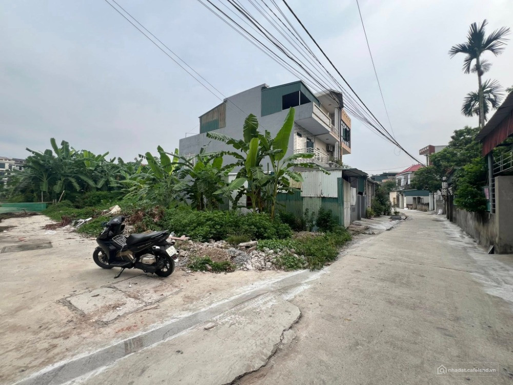 Bán đất phố Phạm Cự Lượng, phường Tân Hưng, TP HP mới, TP HD cũ, 61m2, mt 3.81m,