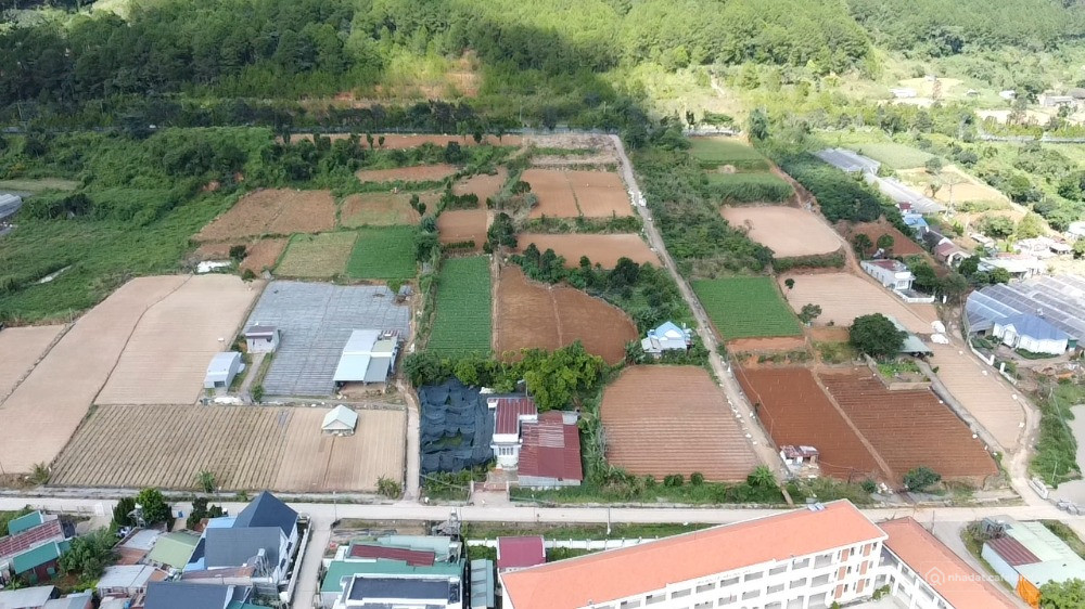 (Video) Đất 100% qh Thổ Cư - Giá Rẻ Nhất Khu Vực
