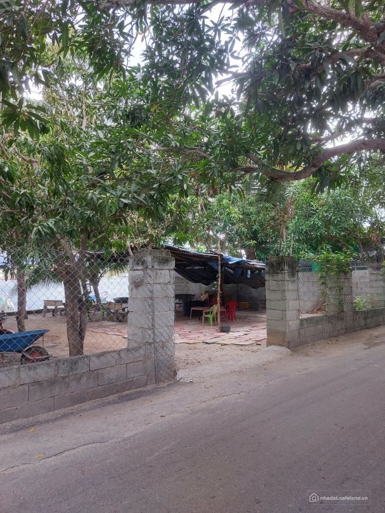 Bán gấp đất Thủy Triều 20 triệu/m2, 1654m2, Cam Hải Đông, Cam Lâm, Khánh Hòa